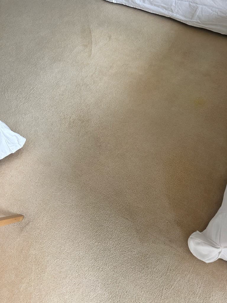 Čištění koberců po čištění